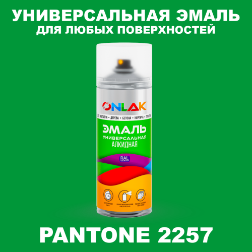 Аэрозольная краска ONLAK, цвет PANTONE 2257 C, спрей 520мл
