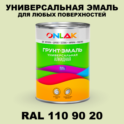 Краска цвет RAL DESIGN 1109020