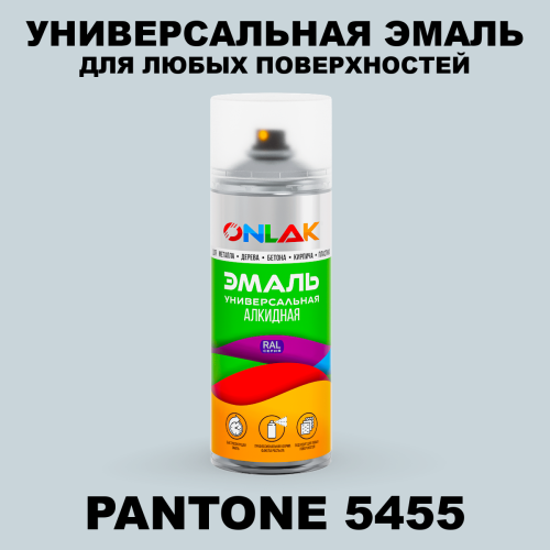 Аэрозольная краска ONLAK, цвет PANTONE 5455 C, спрей 520мл