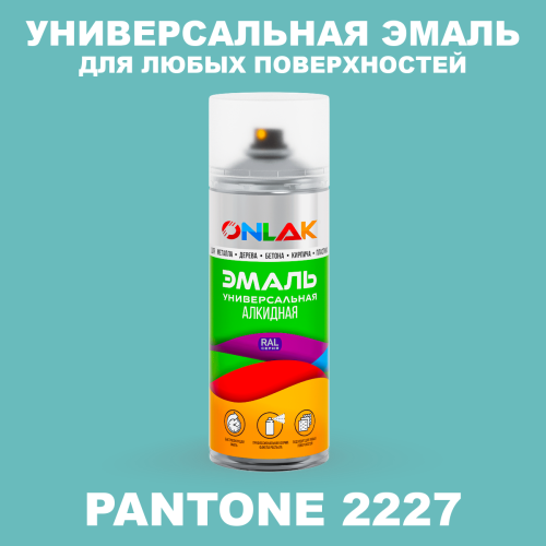 Аэрозольная краска ONLAK, цвет PANTONE 2227 C, спрей 520мл