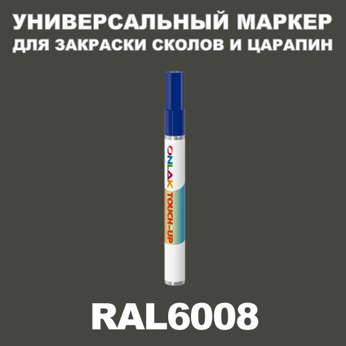RAL 6008   