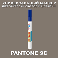PANTONE 9C   