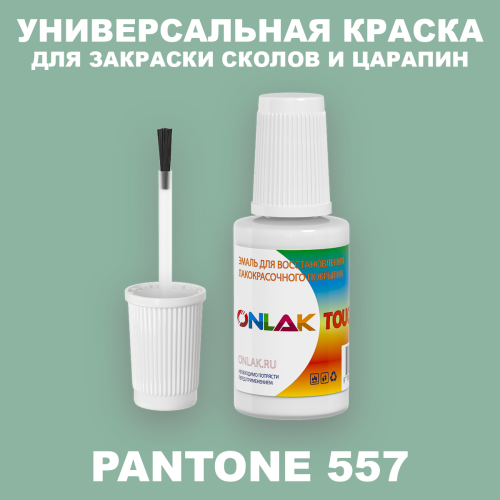 PANTONE 557 C КРАСКА ДЛЯ СКОЛОВ, флакон с кисточкой