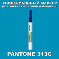 PANTONE 313C   