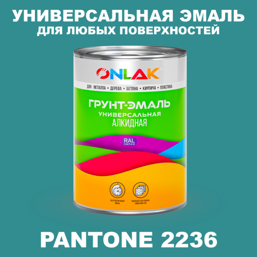 Краска цвет PANTONE 2236 C