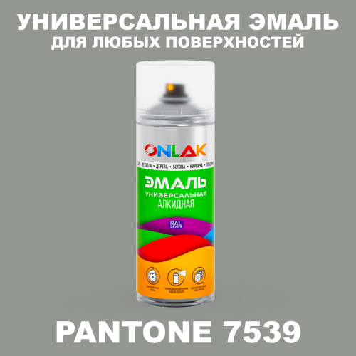 Аэрозольная краска ONLAK, цвет PANTONE 7539 C, спрей 520мл