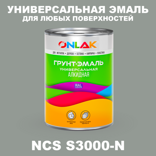 Краска цвет NCS S3000-N