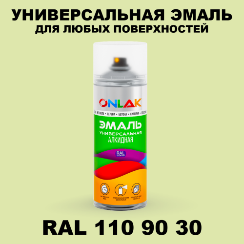 Аэрозольная краска, цвет RAL Design 1109030, спрей 520мл