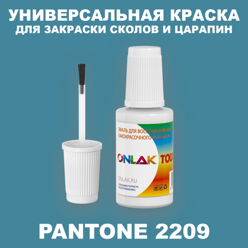 PANTONE 2209 C КРАСКА ДЛЯ СКОЛОВ, флакон с кисточкой