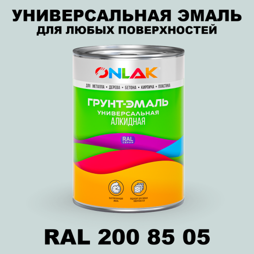 Краска цвет RAL DESIGN 2008505