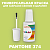 PANTONE 374 C КРАСКА ДЛЯ СКОЛОВ, флакон с кисточкой