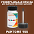 PANTONE 168 C КРАСКА ДЛЯ СКОЛОВ, полуматовая, флакон 50мл с кисточкой