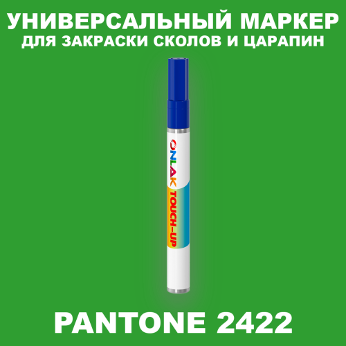 PANTONE 2422 C МАРКЕР С КРАСКОЙ