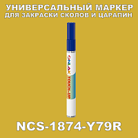 NCS 1874-Y79R   