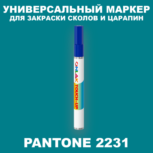 PANTONE 2231 C МАРКЕР С КРАСКОЙ