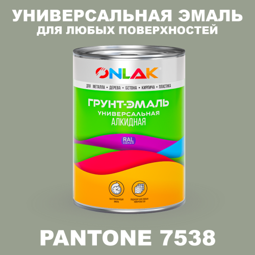 Краска цвет PANTONE 7538 C