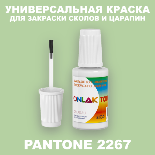 PANTONE 2267 C КРАСКА ДЛЯ СКОЛОВ, флакон с кисточкой