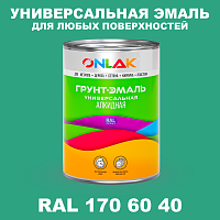 Краска цвет RAL DESIGN 1706040