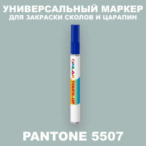 PANTONE 5507 C МАРКЕР С КРАСКОЙ
