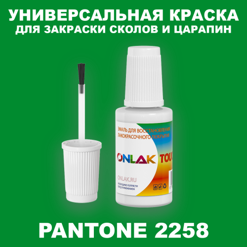 PANTONE 2258 C КРАСКА ДЛЯ СКОЛОВ, флакон с кисточкой