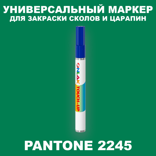 PANTONE 2245 C МАРКЕР С КРАСКОЙ