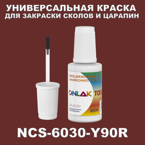 NCS 6030-Y90R   ,   