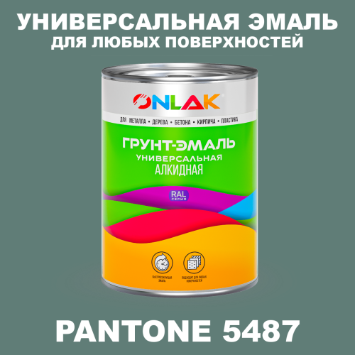 Краска цвет PANTONE 5487 C