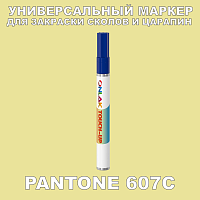PANTONE 607C   