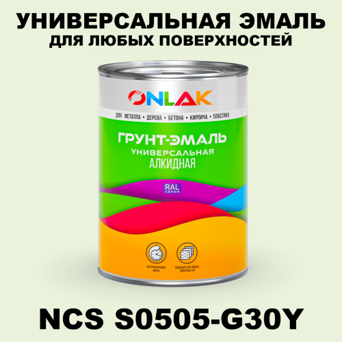 Краска цвет NCS S0505-G30Y