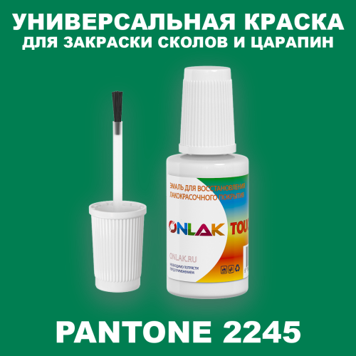 PANTONE 2245 C КРАСКА ДЛЯ СКОЛОВ, флакон с кисточкой