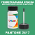 PANTONE 2417 C КРАСКА ДЛЯ СКОЛОВ, флакон 50мл с кисточкой