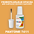 PANTONE 7411 C КРАСКА ДЛЯ СКОЛОВ, матовая, флакон 20мл с кисточкой