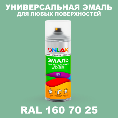 Аэрозольная краска, цвет RAL Design 1607025, спрей 520мл