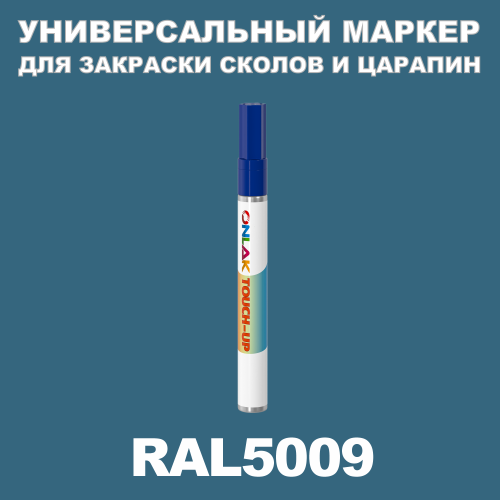 RAL 5009   