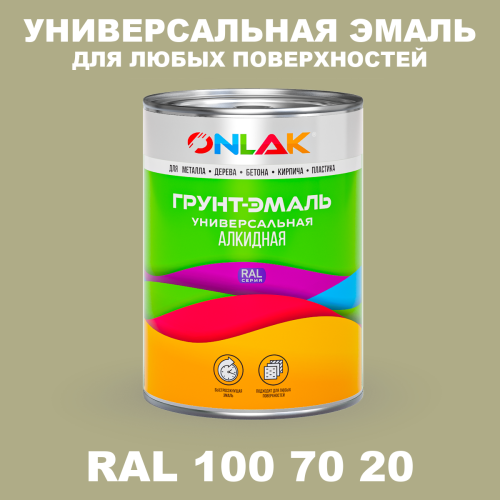 Краска цвет RAL DESIGN 1007020