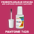 PANTONE 7425 C КРАСКА ДЛЯ СКОЛОВ, полуматовая, флакон 20мл с кисточкой