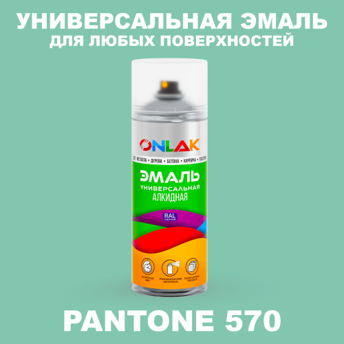 Аэрозольная краска ONLAK, цвет PANTONE 570 C, спрей 520мл