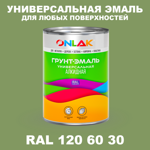 Краска цвет RAL DESIGN 1206030