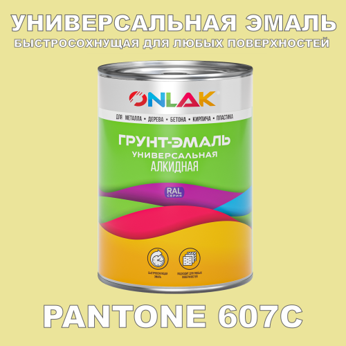   PANTONE 607C