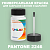 PANTONE 2246 C КРАСКА ДЛЯ СКОЛОВ, матовая, флакон 50мл с кисточкой