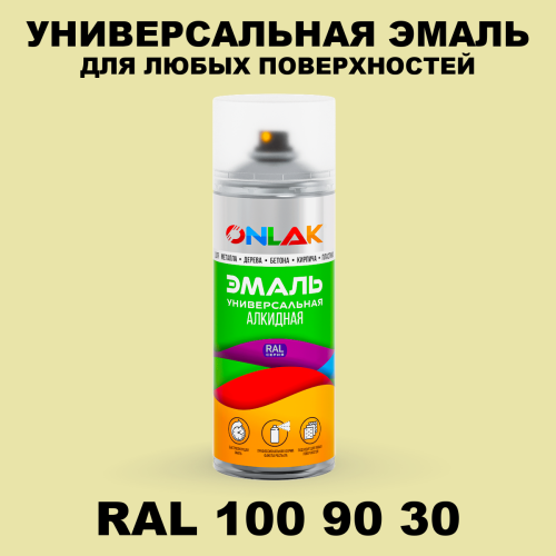 Аэрозольная краска, цвет RAL Design 1009030, спрей 520мл