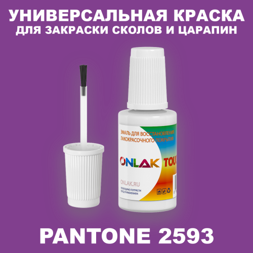 PANTONE 2593 C КРАСКА ДЛЯ СКОЛОВ, флакон с кисточкой