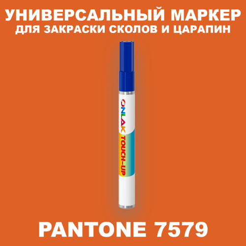 PANTONE 7579 C МАРКЕР С КРАСКОЙ