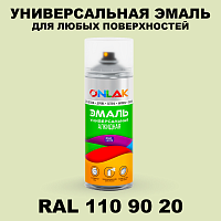 Аэрозольная краска, цвет RAL Design 1109020, спрей 520мл