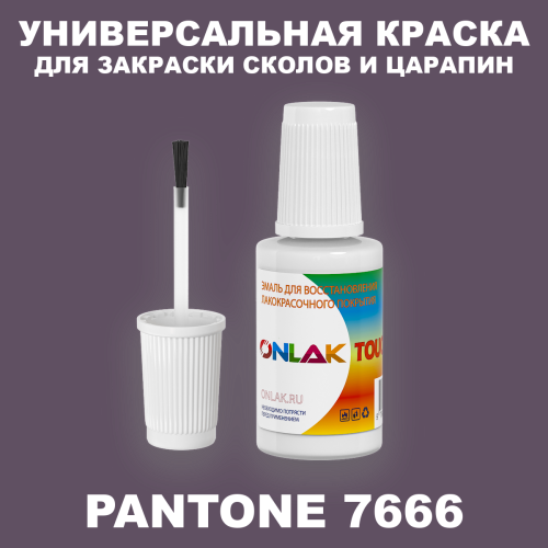 PANTONE 7666 C КРАСКА ДЛЯ СКОЛОВ, флакон с кисточкой