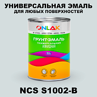 Краска цвет NCS S1002-B