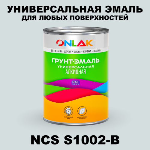 Краска цвет NCS S1002-B