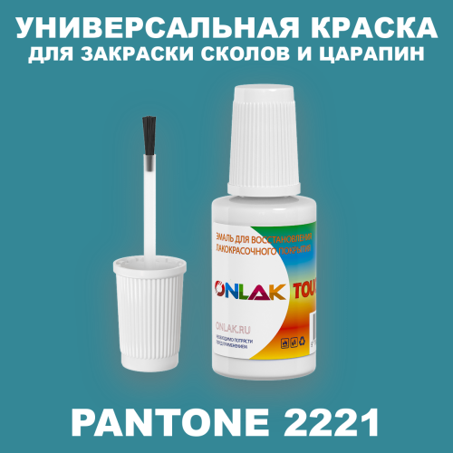 PANTONE 2221 C КРАСКА ДЛЯ СКОЛОВ, флакон с кисточкой