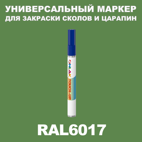 RAL 6017   