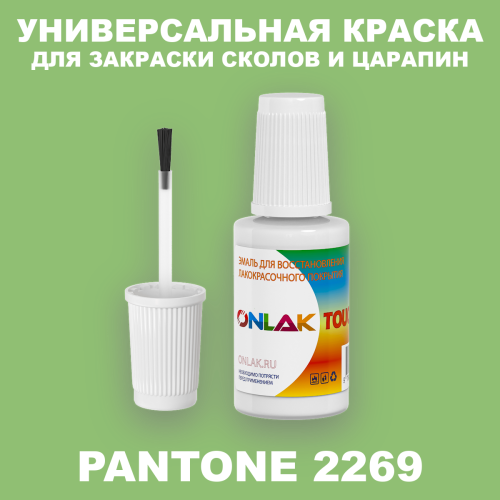 PANTONE 2269 C КРАСКА ДЛЯ СКОЛОВ, флакон с кисточкой